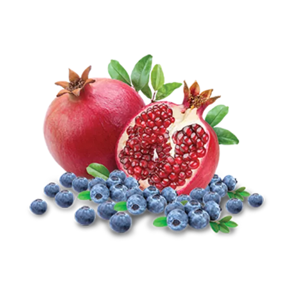 Blueberry Pomegranate Tart frozen yogurt