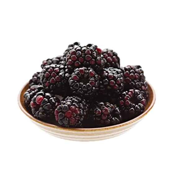 No Sugar Added Boysenberry frozen yogurt