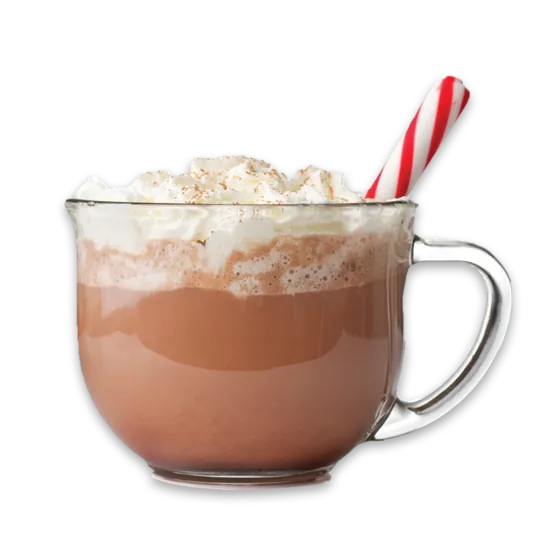 Peppermint Mocha frozen yogurt