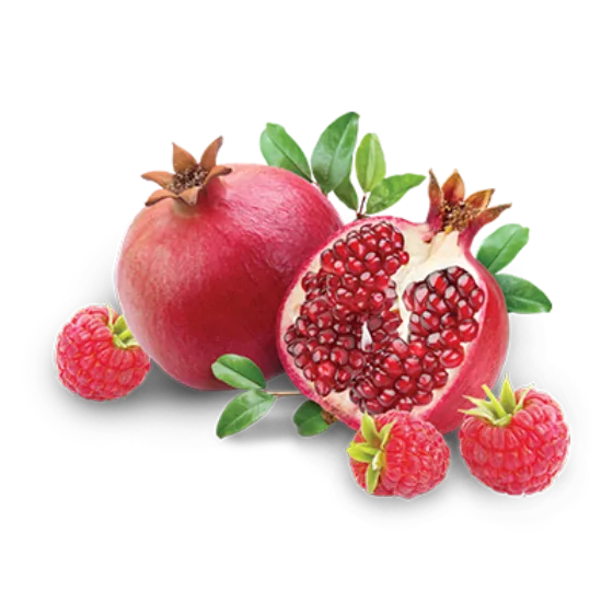 Raspberry Pomegranate Sorbet (Non-Dairy) frozen yogurt